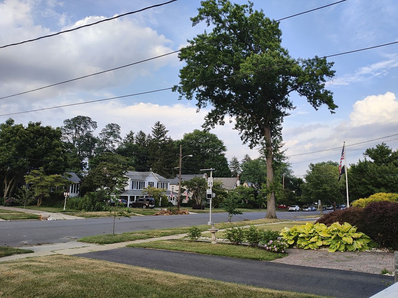 Motorola Razr Plus 2023 main camera sample.