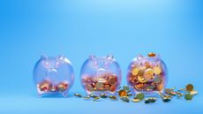 Coins in piggy banks for retirement savings