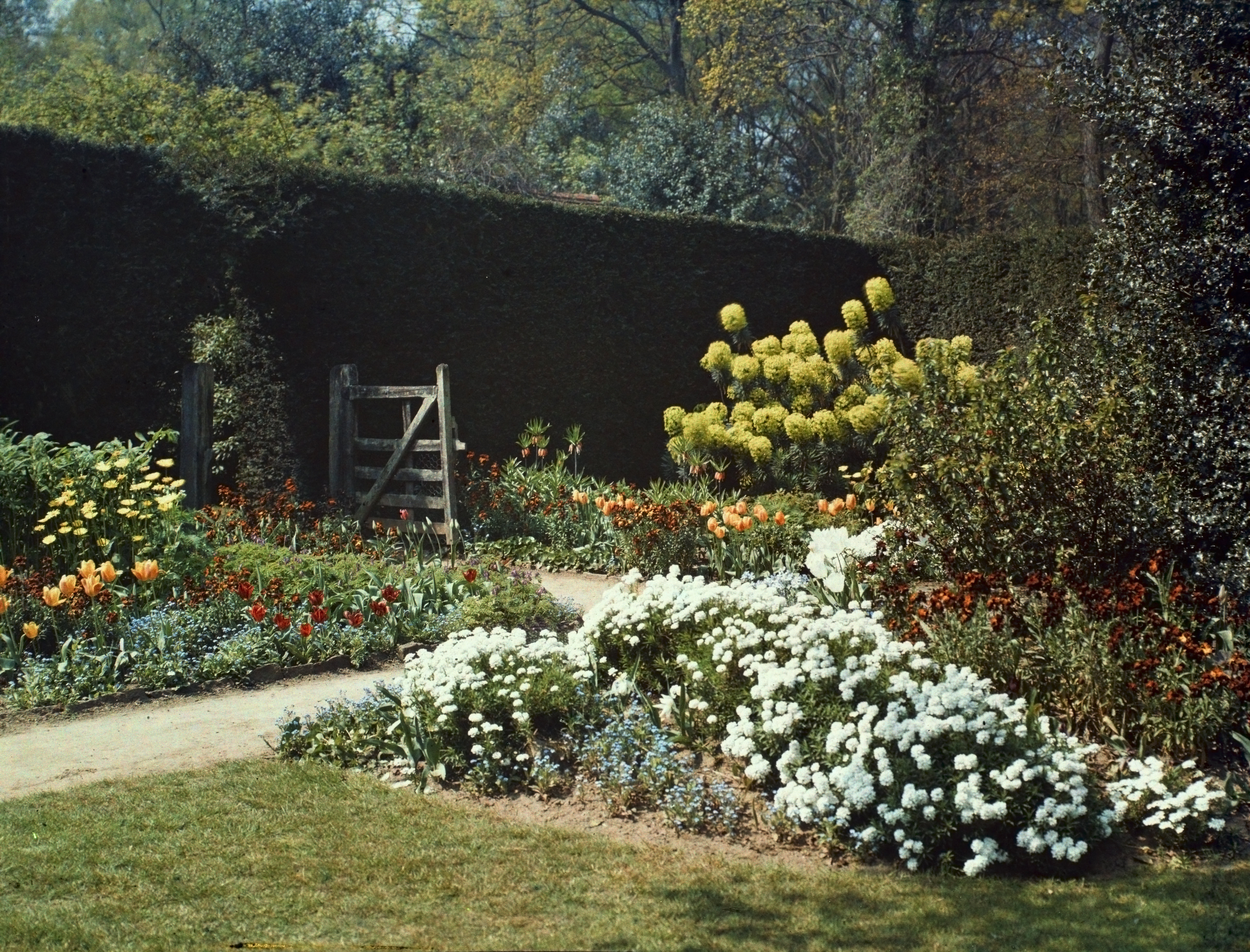 Munstead Wood garden