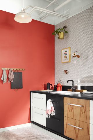 orange kitchen statement wall