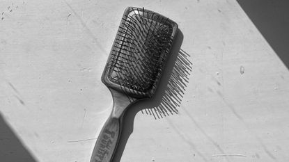 Best paddle brush