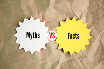 colored star paper with myths vs facts. 