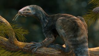 Artist impression of a furry creature that lived before dinosaurs with big hands, claws and a beak