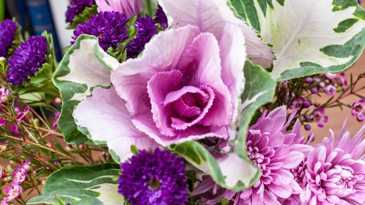 Valentine's Day flowers