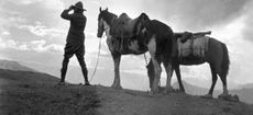 Aimé Tschiffely was denounced as a "lunatic" when he set off in 1925 to ride 10,000 miles from Buenos Aires to New York. Not only did the Swiss Long Rider complete the journey, but his book, Tschiffely's Ride, has inspired seven generations to follow his example. In 1999 the Argentine Congress passed a law celebrating the 20th September of each year the "Dia Nacional del Caballo" (National Day of the Horse) in honour of the day Aimé rode into New York. Photo courtesy of Tschiffely Literary Estate.