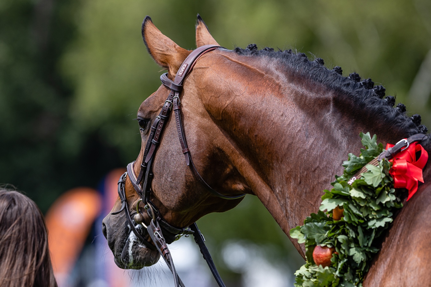 June 22nd 2025 ~ MANDATORY Credit Elli Birch/Bootsandhooves- NO UNAUTHORISED USE - 07745909676