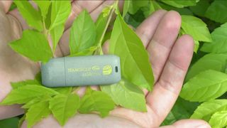 The Team Group C175 ECO Flash Drive in hand with leaves surrounding it.