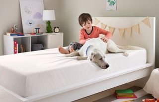 Boy and his dog sitting on a bed