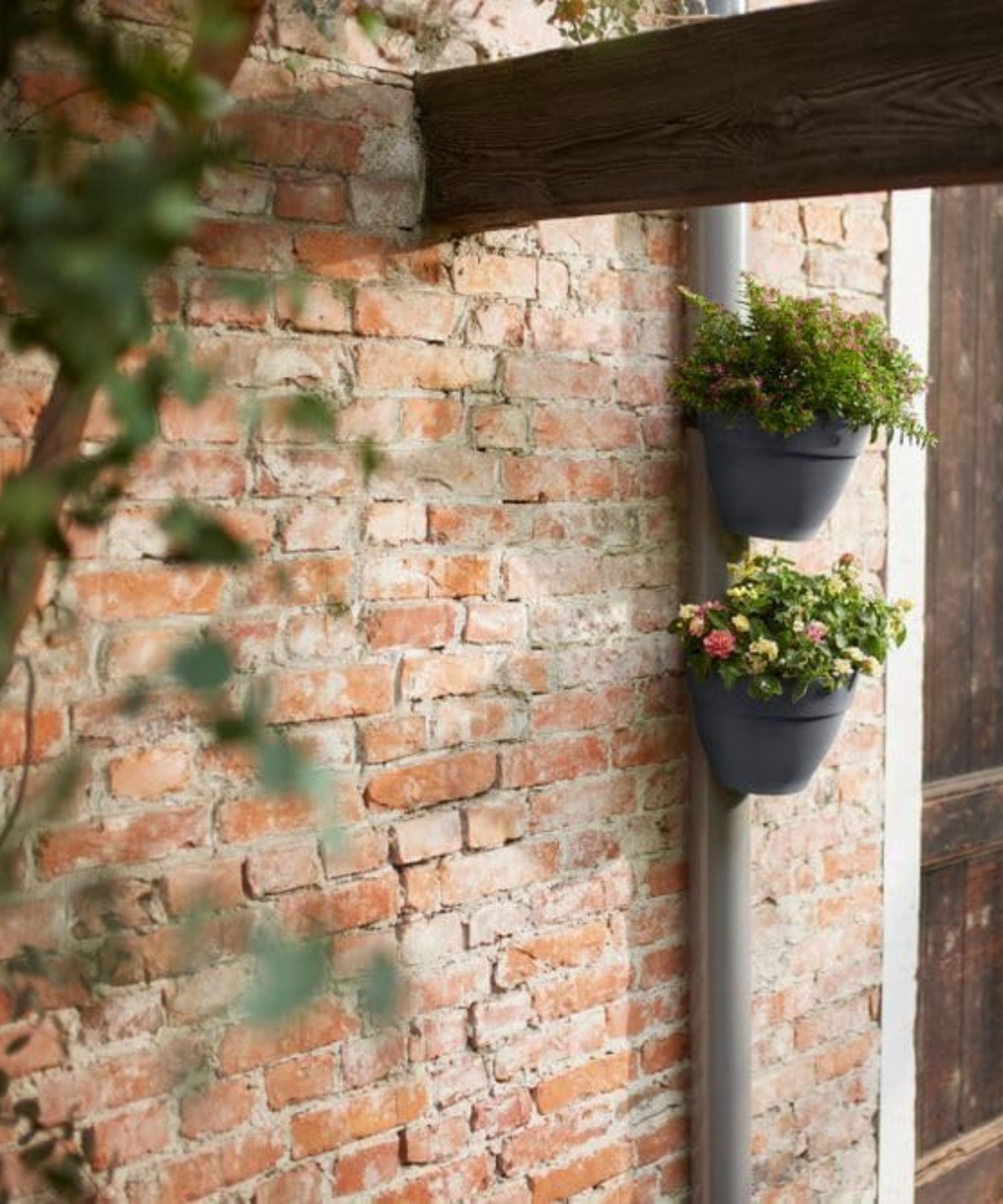 Flower pots on drainpipe