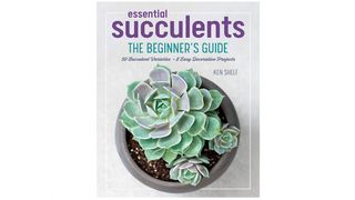 guidebook to succulents