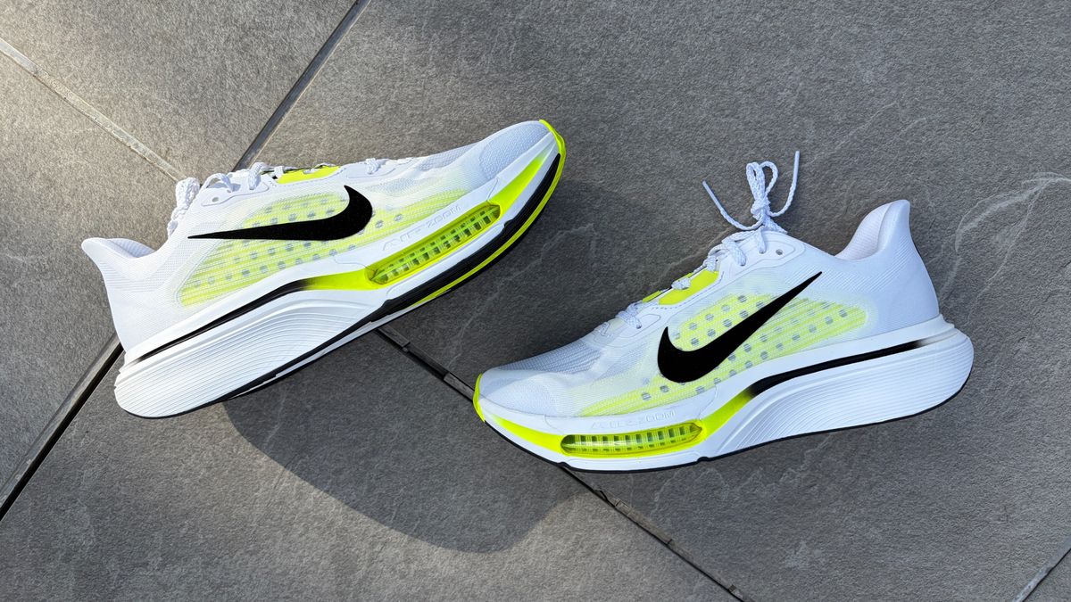 Nike Pegasus Plus 2