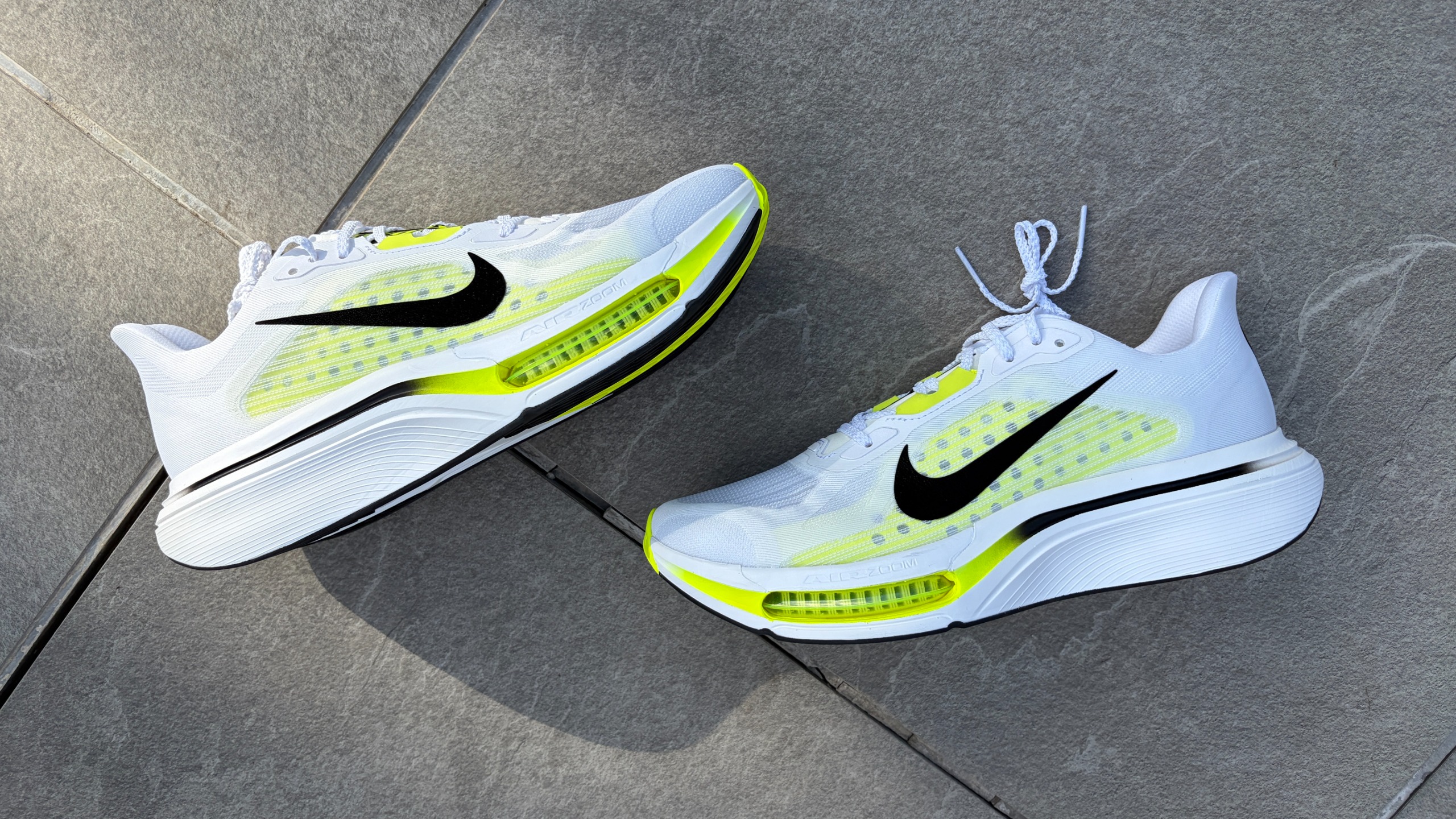 Nike Pegasus Plus 2