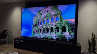 三星115英寸Micro-RGB電視首先看