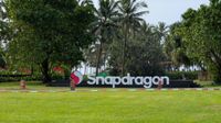 Snapdragon logo on a field