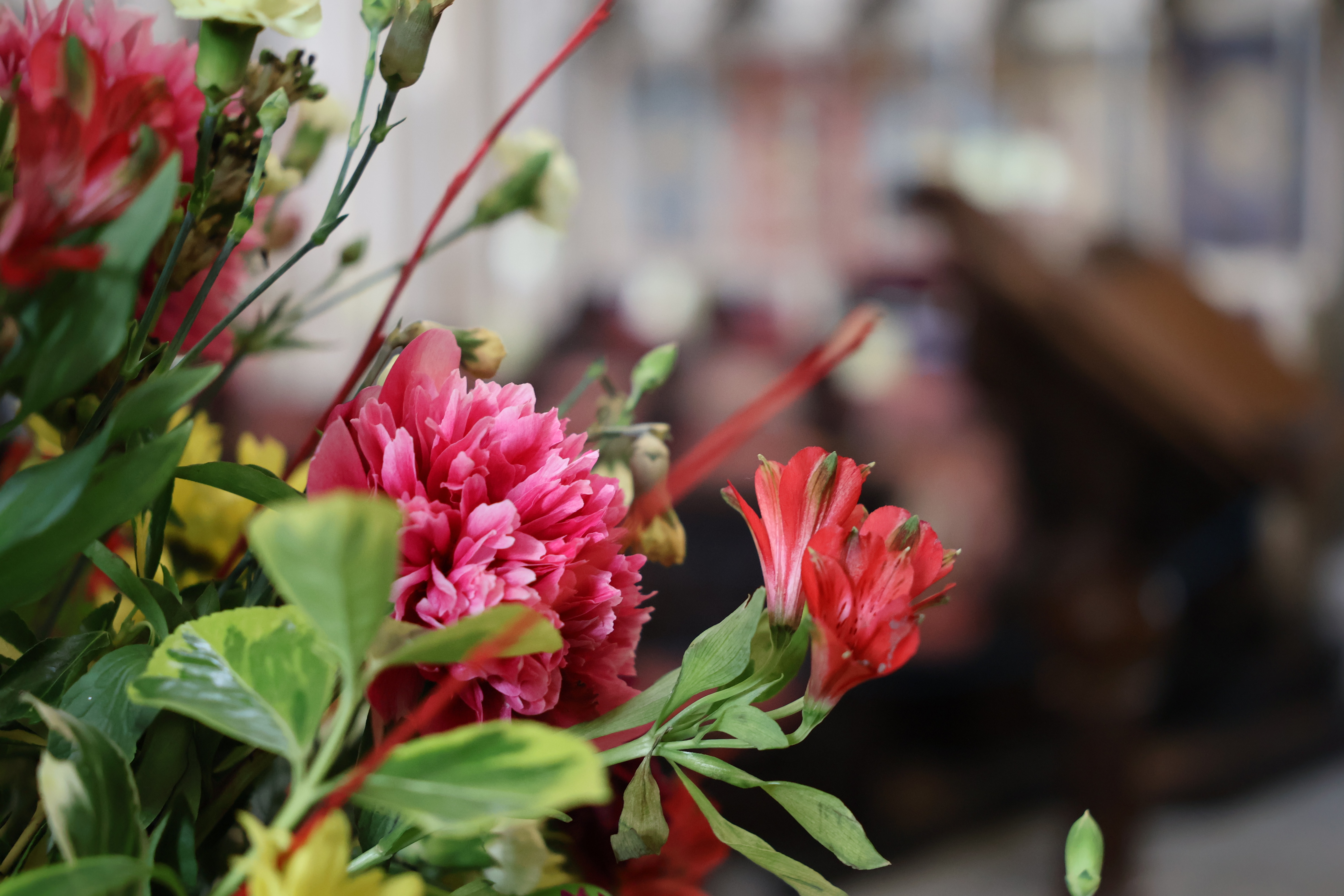 Sigma 17-40mm f/1.8 DC | A example shot