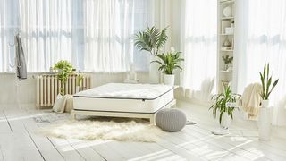 WinkBeds mattress sales, deals and discounts: The WinkBed GravityLux Mattress shown on a white bed frame in a white room dressed with white furniture and green plants