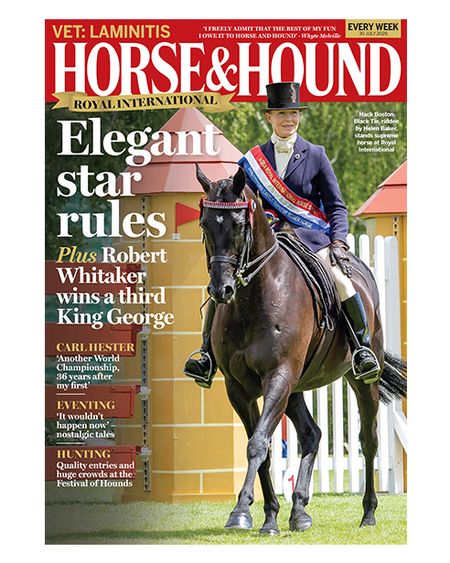 The cover of 30 July 2026 magazine, featuring the supreme horse at Royal International Horse Show, show hack Boston Black Tie with his rider wearing the winner's sash.