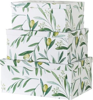 Set of three decorative storage boxes with an olive branch design