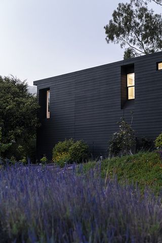 grey low volume of highgrove house placed among blooms