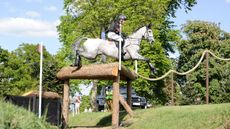Oliver Townend and Cooley Rosalent top Badminton Horse Trials cross-country results