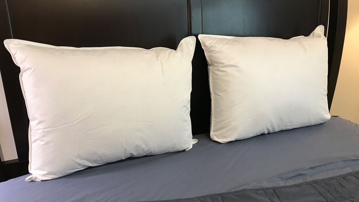 Parachute Down Pillow Review: lush, plush, and humanely-sourced | TechRadar