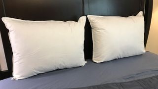 Two Parachute Down Pillows leaning against the headboard of a bed