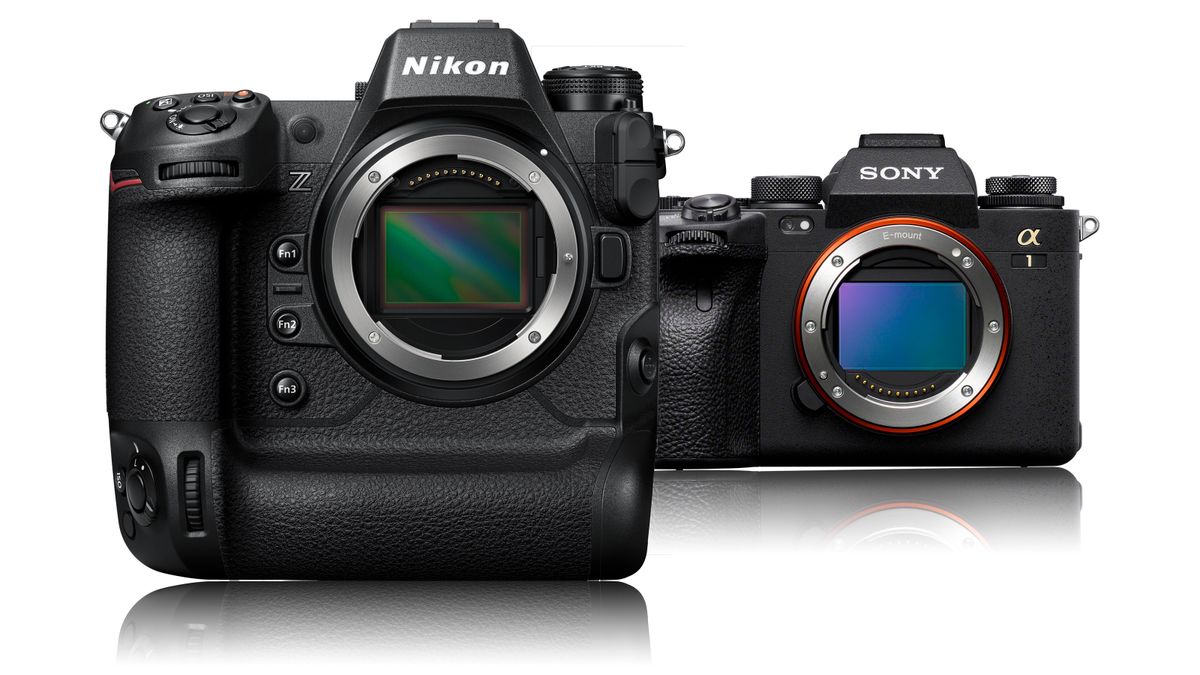 Nikon Z9 review  Digital Camera World