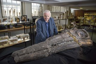 David Attenborough and the Sea Dragon