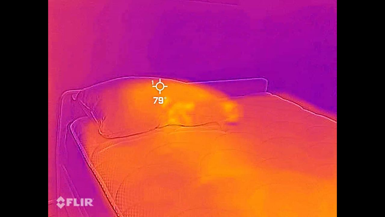 A thermal image of the Beckham Hotel Collection Pillow Pillow showing a temperature reading of 79 &deg;F