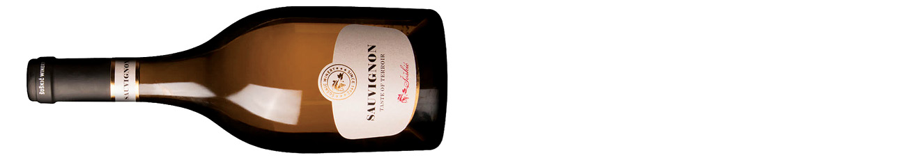 Dvorska &amp;Scaron;o&amp;scaron;ki&amp;#263;, Taste of Terroir Sauvignon, Ple&amp;scaron;ivica 2021