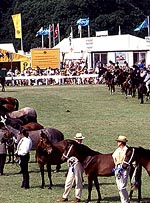 F1716955-B4F4-46E3-89B2-0B94FD331CF9.jpg