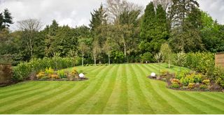 Garden with lines mown into the lawn