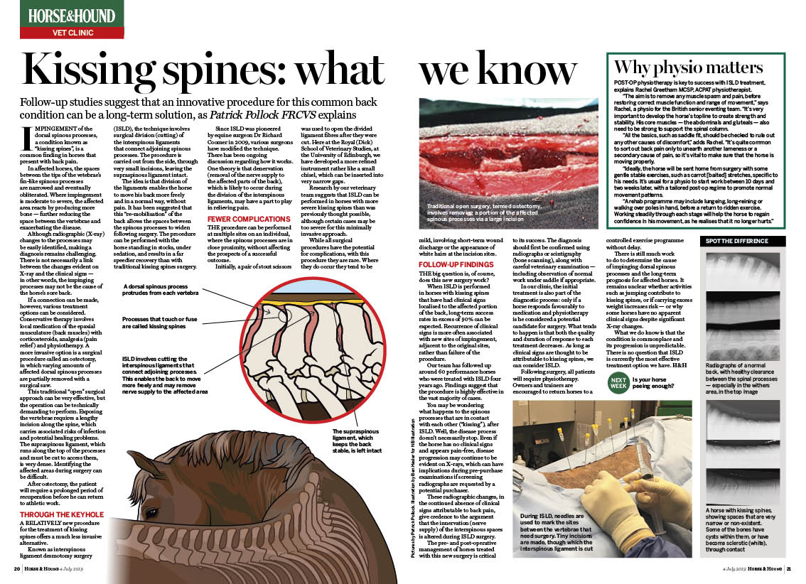 Vet 2PP Kissing Spines (4 7)