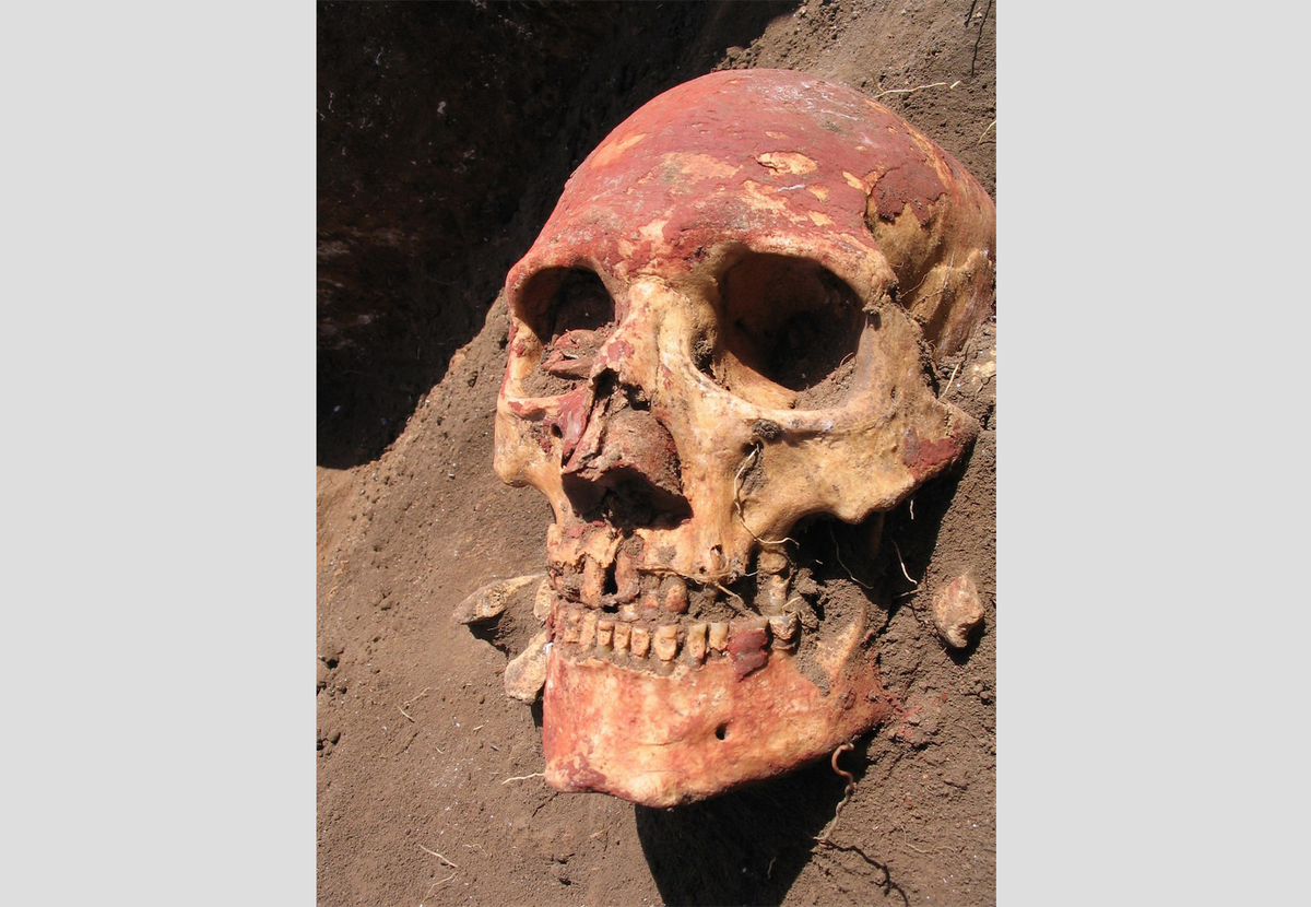 A human skull from the Bronze Age