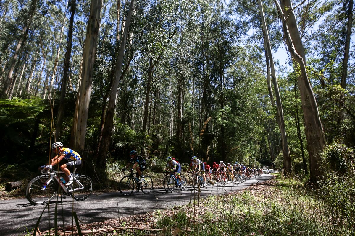 Peter Kennaugh (Team Sky) leading through the trees