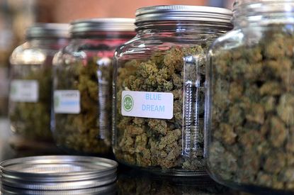 Marijuana for sale in glass jars
