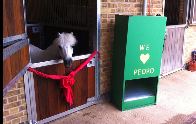 pedro