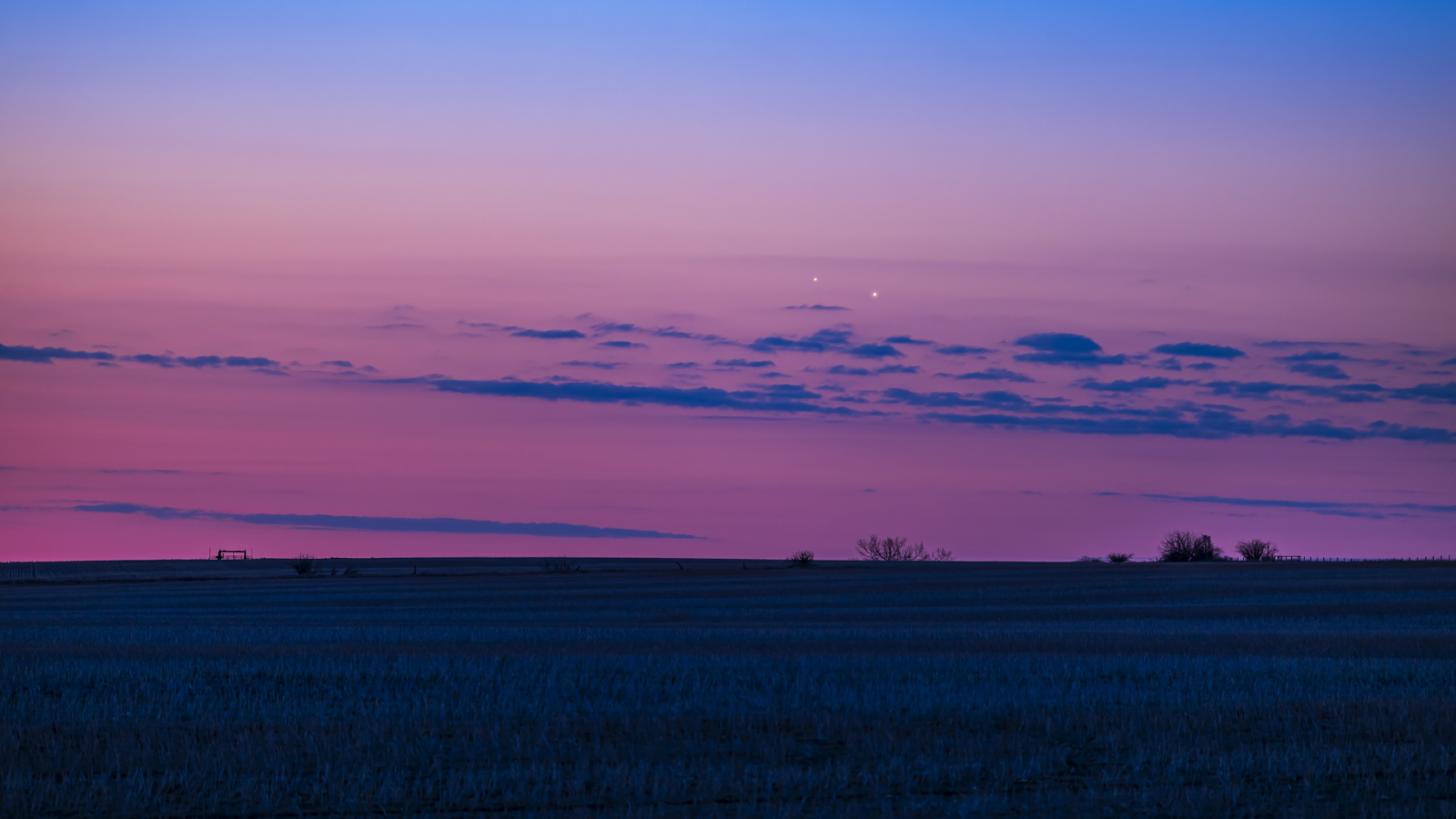 A pink sky with dark blue clouds almost covers two bright dots, Venus and Jupiter, that overlook a rural landscape with dark grass and trees