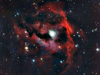 Close-up view of the head of the Seagull Nebula 1024