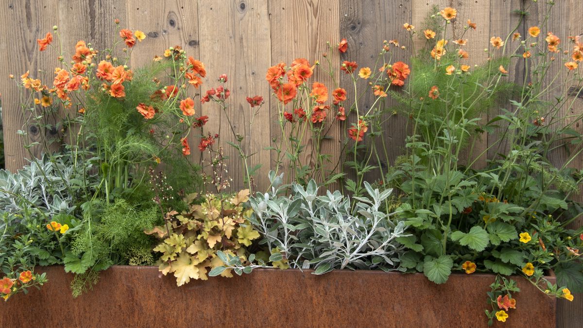 What to Plant in June - Flowers, Vegetables, and Herbs | Homes and Gardens
