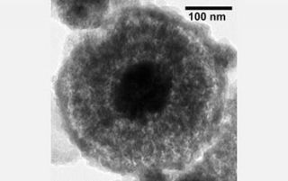 Nanoparticle