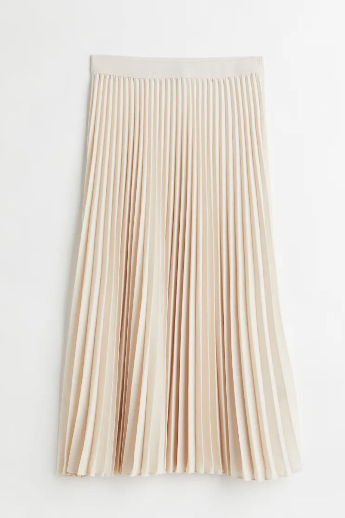 H&M Pleated Skirt