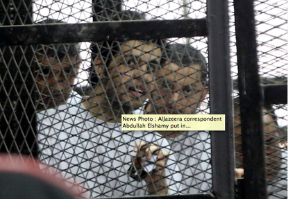Egypt frees Al Jazeera journalist on 130-day hunger strike