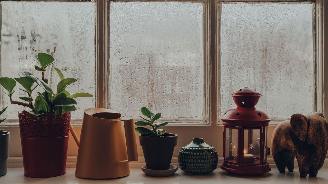 Condensation on window