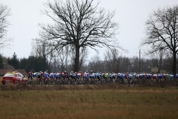 Barren, but not for long... The trees in France will be out of hibernation soon.