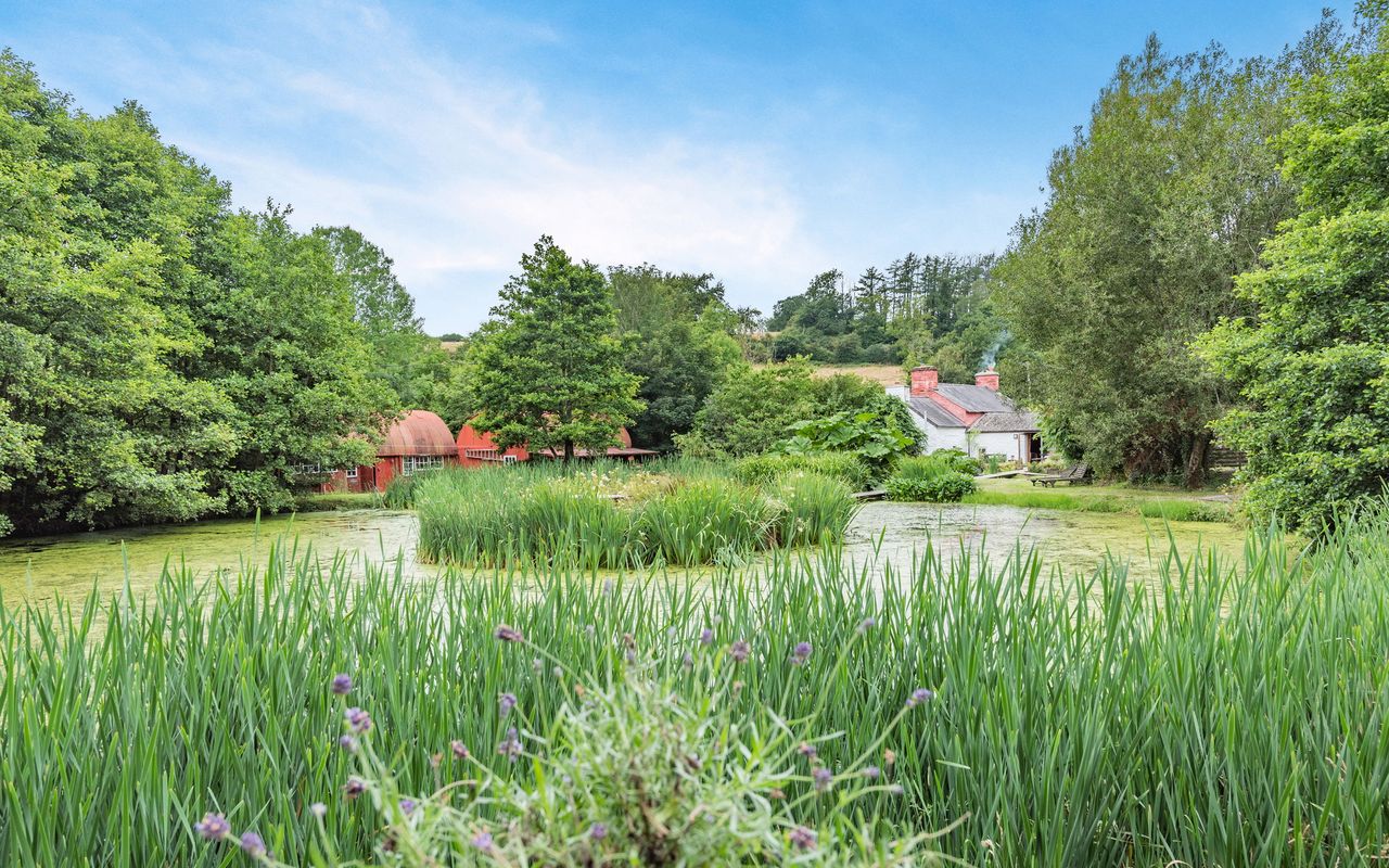 Brithdir in Wales. A glorious micro estate