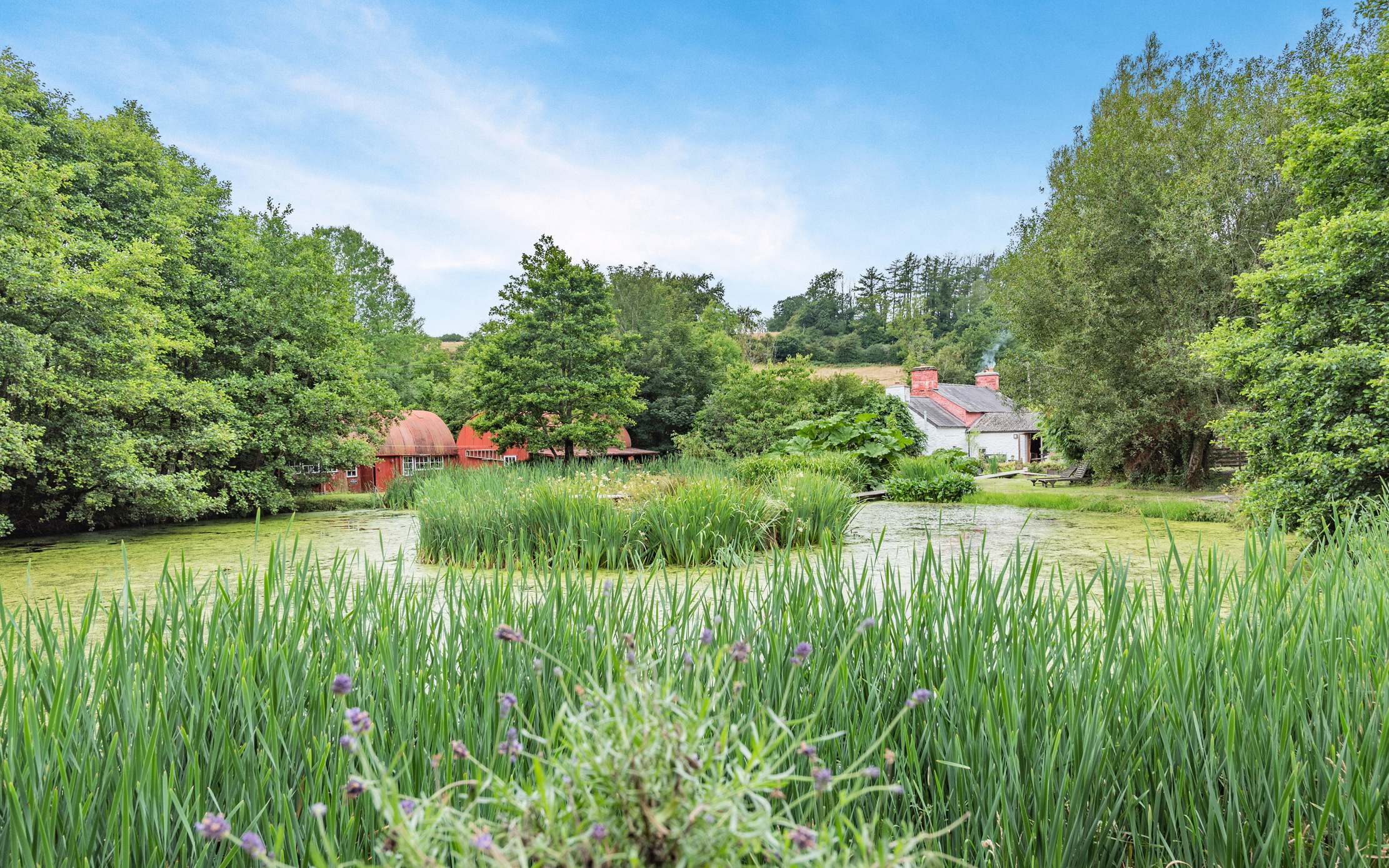 Brithdir in Wales. A glorious micro estate