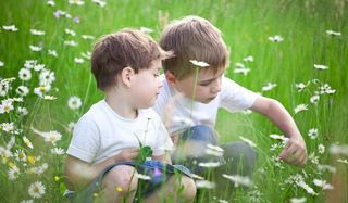 siblings in field