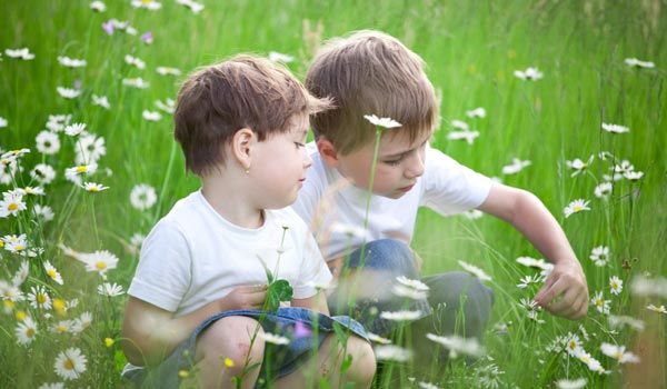 siblings in field