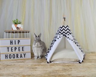 pet teepee